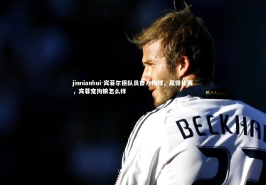 jinnianhui-宾菲尔德队员奋力拼搏，赢得比赛，宾菲宠狗粮怎么样