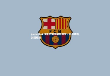 jinnianhui-汉堡SV新帅履新首宣，战术革新剑指破局