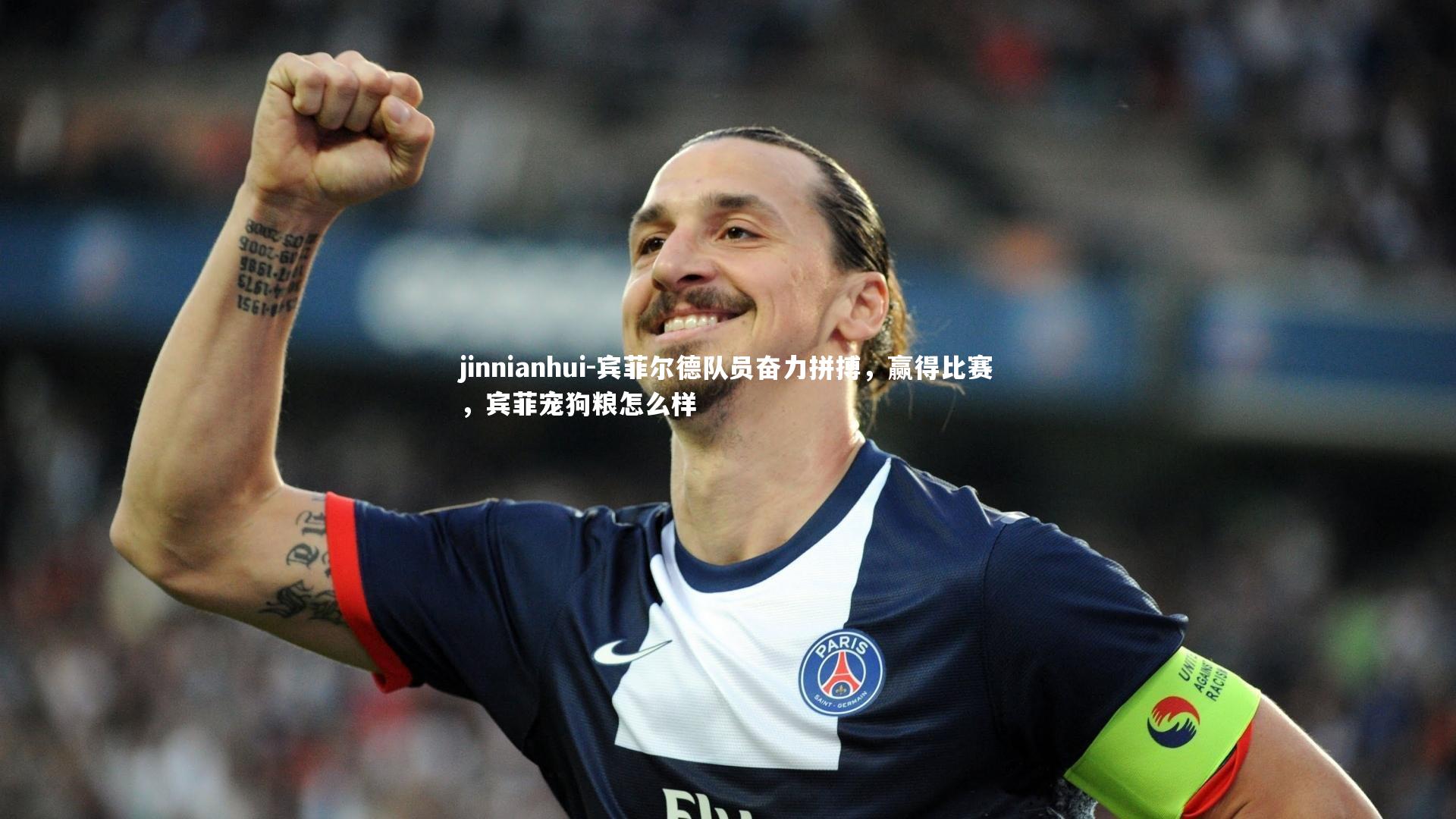 宾菲尔德队员奋力拼搏，赢得比赛，宾菲宠狗粮怎么样