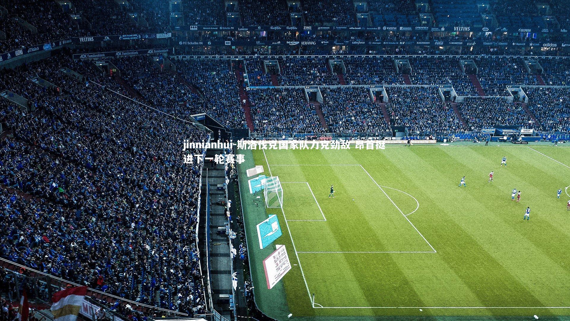 斯洛伐克国家队力克劲敌 昂首挺进下一轮赛事